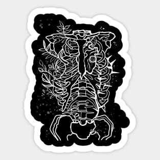 Bare Bones Sticker